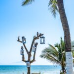 star-fish-an-bang-about-us